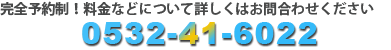 ボディーコーティングの種類・料金についてはお問合わせください：0532-41-6022