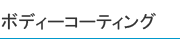 ボディーコーティング